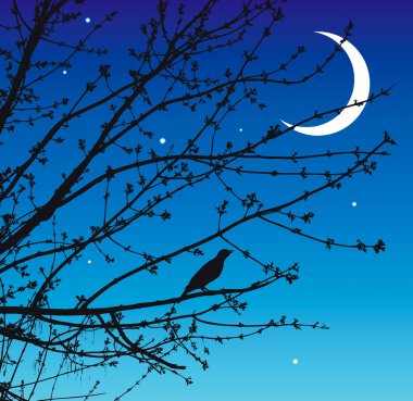 Night song of the nightingale clipart