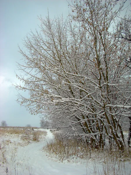 Μονοπάτι του χειμώνα — Φωτογραφία Αρχείου