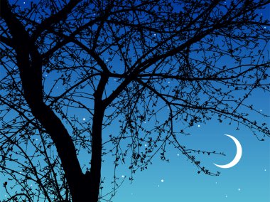 Night branches clipart