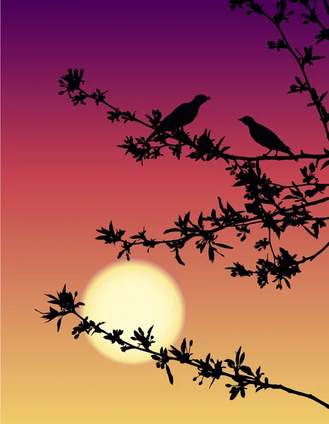 stock vector Nightingales at sunset