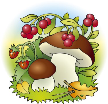 Mushrooms and berries clipart