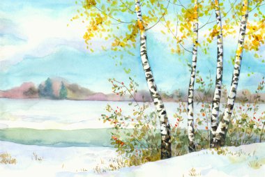 Birches in snowy field clipart