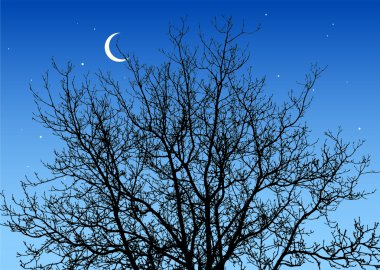 Branches in the night sky clipart