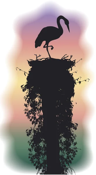 Stork sleeps in a nest — Stock Vector
