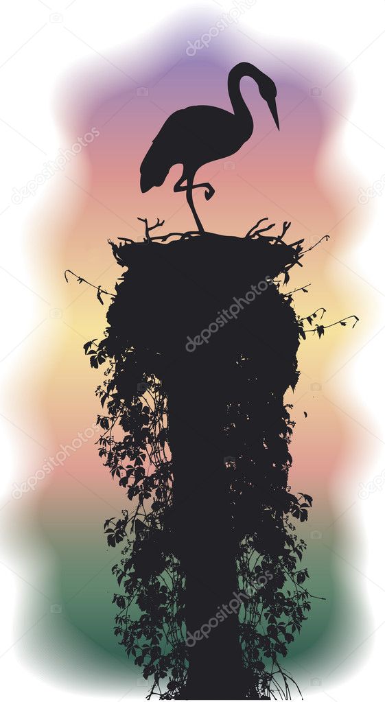 Stork sleeps in a nest
