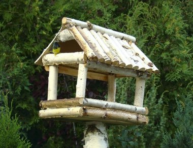 Bird feeders clipart