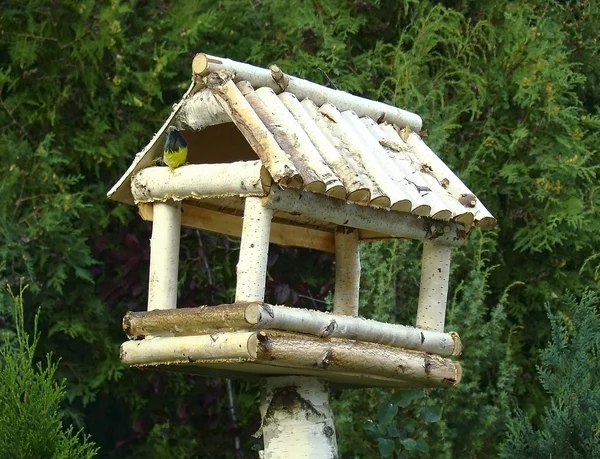 Karmniki dla ptaków — Zdjęcie stockowe