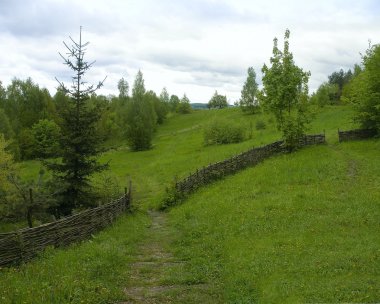 Landscape with a path clipart