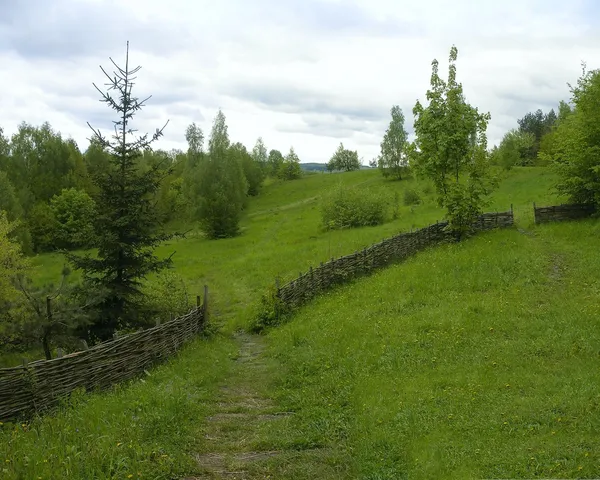 Landscape with a path — Stock Photo, Image