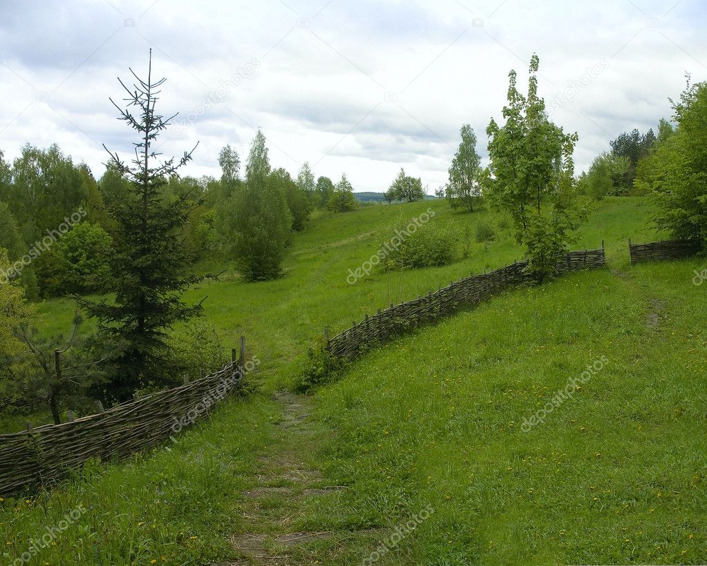 Landscape with a path