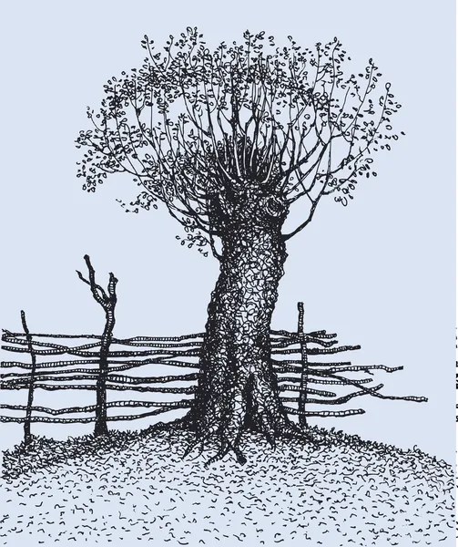 Alter Baum in der Nähe des Zauns — Stockvektor