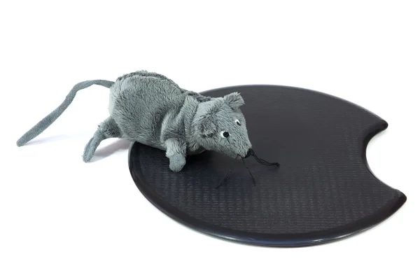 Brinquedo de rato — Fotografia de Stock