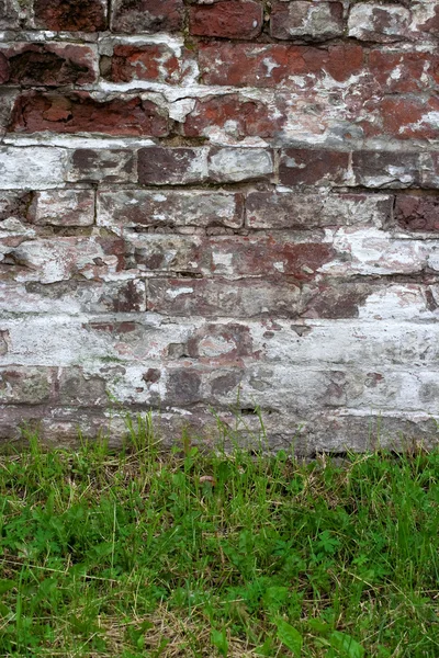 stock image Brick wall