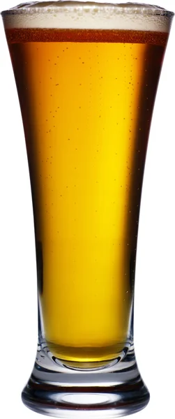 stock image Beer