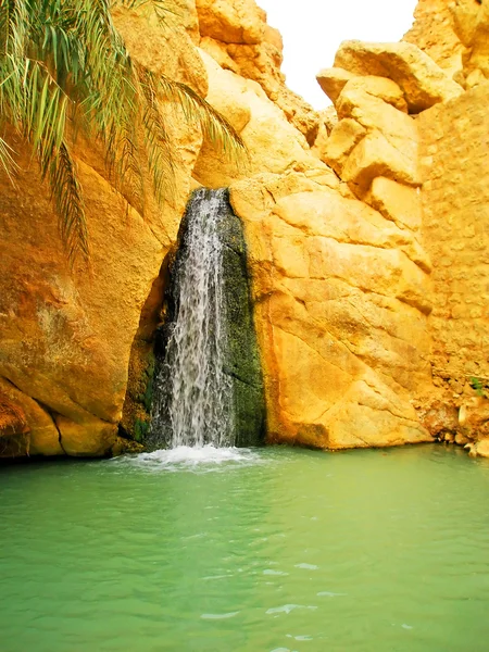 Waterfall in mountain oasis Chebika — Stock Photo, Image
