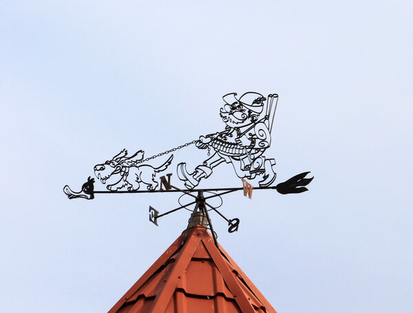 Weather vane in the village