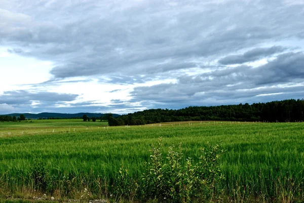 Suède rurale — Photo