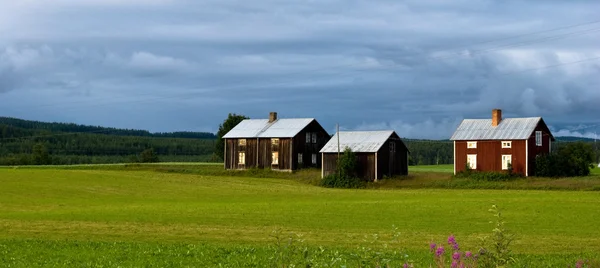 Sueco rural — Foto de Stock