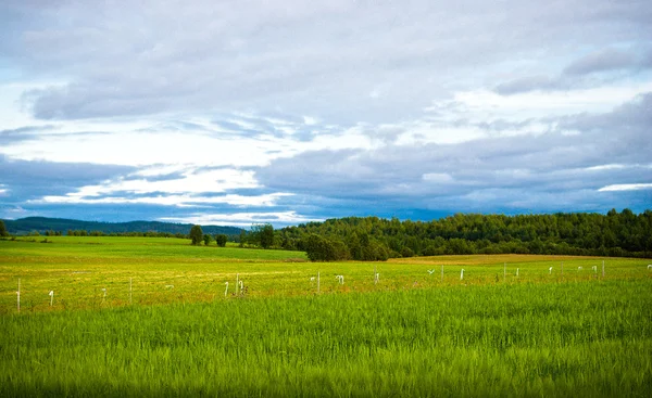 stock image Rural sweden