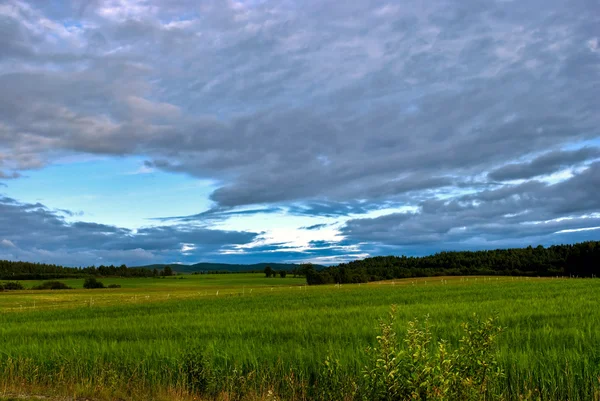 Escandinavia rural — Foto de Stock
