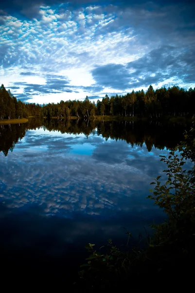 Švédské přírody — Stock fotografie