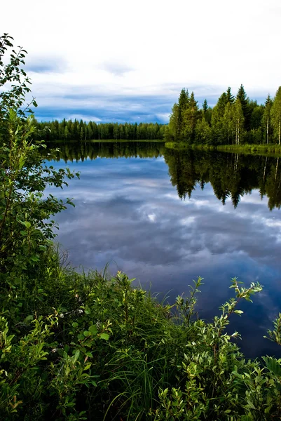 Szwedzką przyrodą — Zdjęcie stockowe