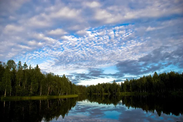 Zweedse natuur — Stockfoto