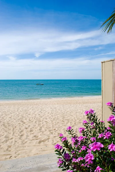 stock image Thailand beach