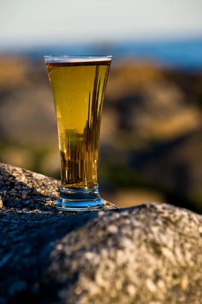Cerveza fría — Foto de Stock