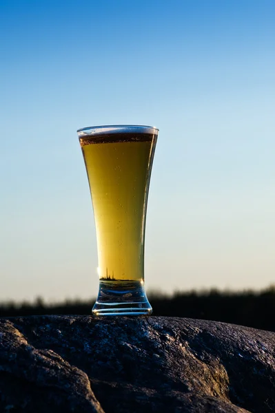 Cold beer — Stock Photo, Image
