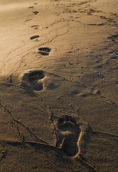 Footprints — Stock Photo, Image
