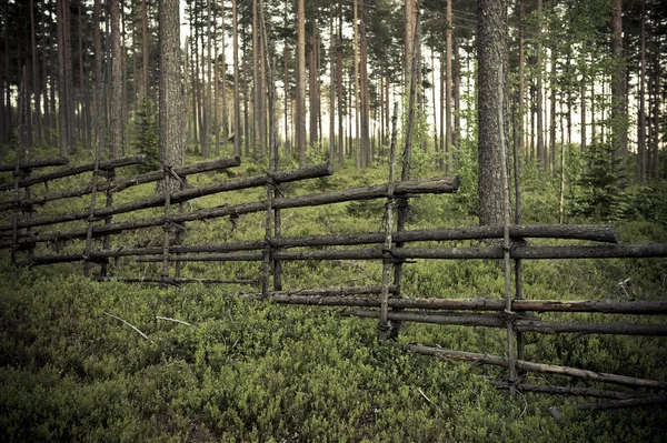 Rural wood fence — Stock Photo, Image