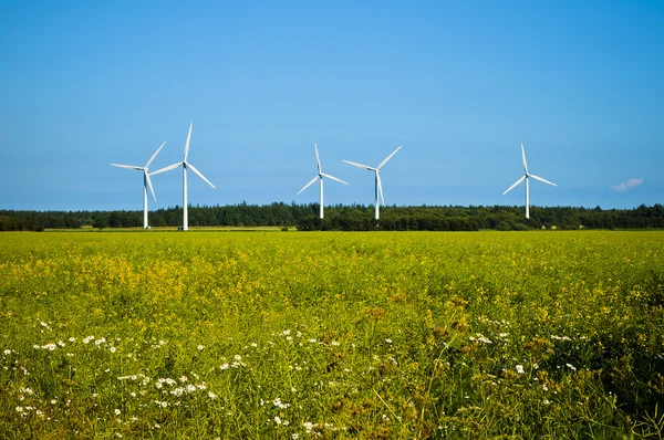 stock image Wind power