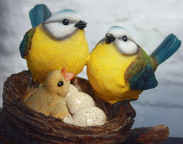 Stock image Bird's-nest