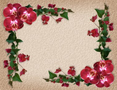 Orchids and Bougainvillea floral border clipart