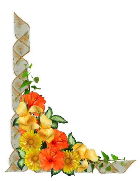 Granicy tropikalnych kwiatów — Zdjęcie stockowe