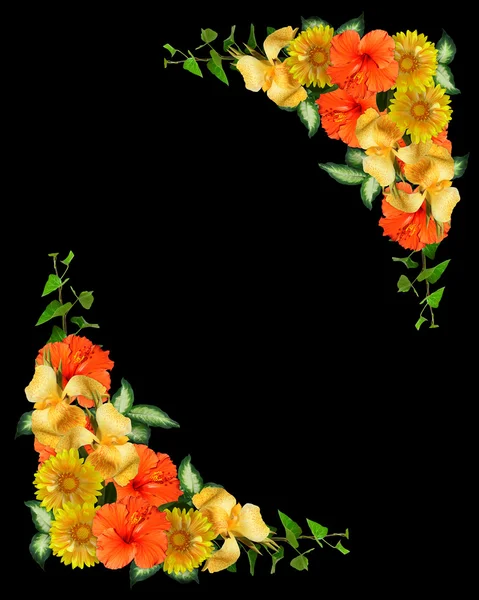 Tropické květiny roh design na černém pozadí — Stock fotografie