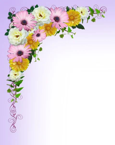 Wiosna Kwiaty granicy szablon — Zdjęcie stockowe