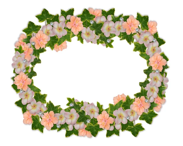 Plumeria granica kwiatowy i hibiskusa — Zdjęcie stockowe