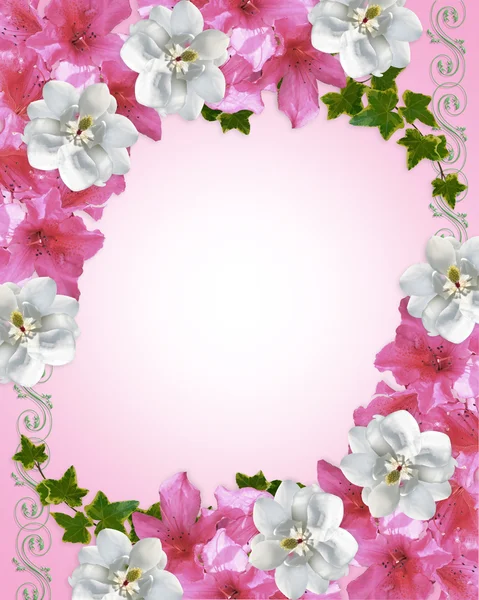 Frontera floral azaleas y magnolia Imagen de archivo