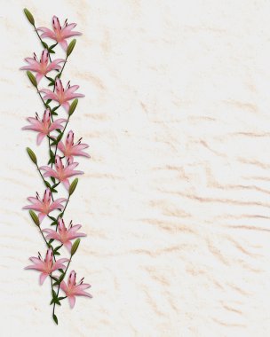 Asian lily flowers border on rice paper clipart