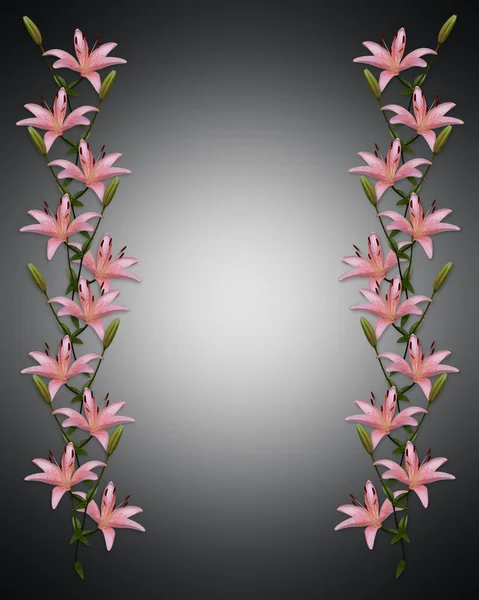 Asiatique lys fleurs frontière sur noir Images De Stock Libres De Droits