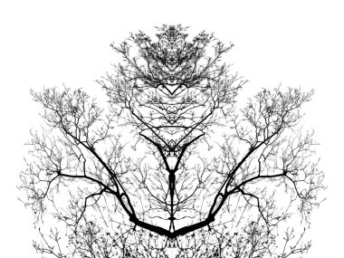 Tree branches clipart