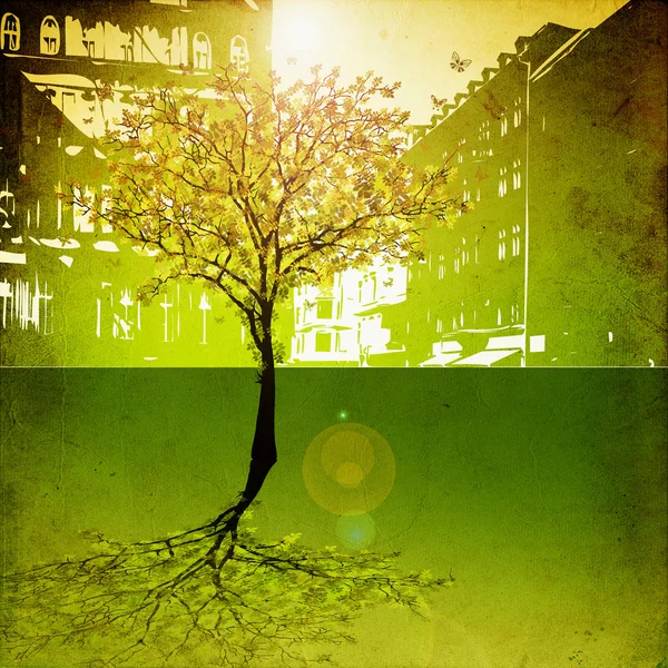 在城市中的最后一颗树 — 图库照片