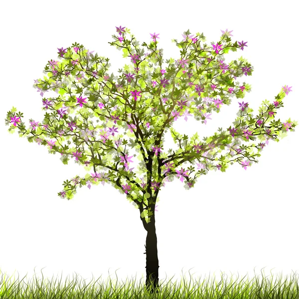 Spring Tree — Stock Photo, Image