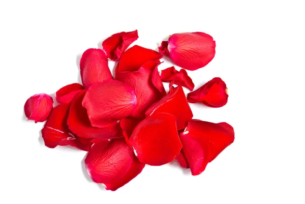 Románticos pétalos de rosa roja sobre blanco con espacio para copiar — Foto de Stock
