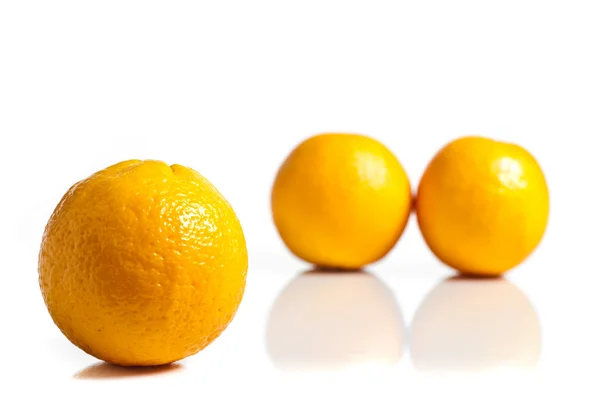 Limoni isolati su bianco — Foto Stock