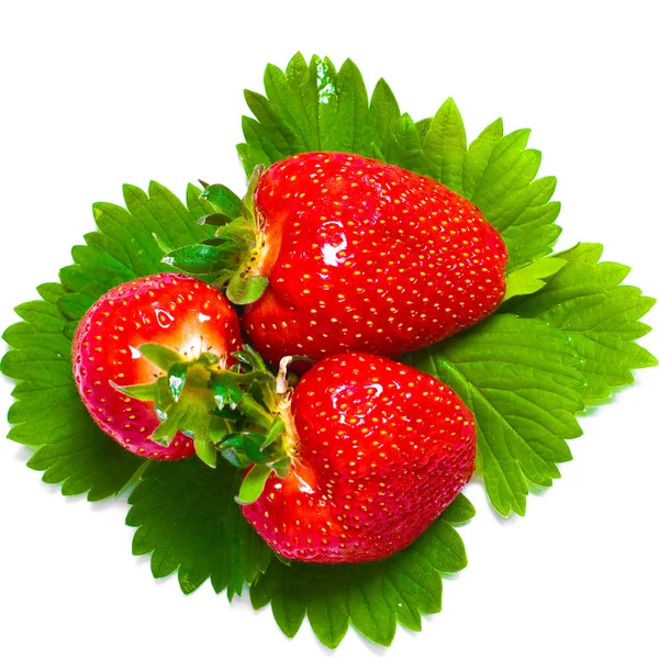 stock image Strawberries isolated on white