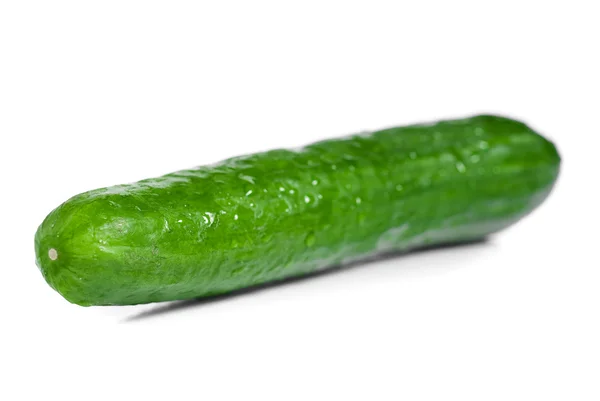 Fresh cucumber on white background — Stock Photo, Image