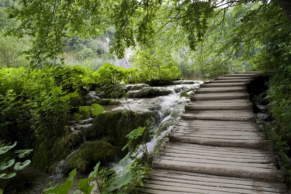 stock image Wood bridge in Plitvice